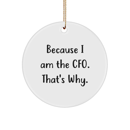 Funny CFO Gifts for Men, Women, or Friends - Circle Ornament Because I Am The CFO That's Why - Christmas Unique Gifts from Coworkers - Image 1