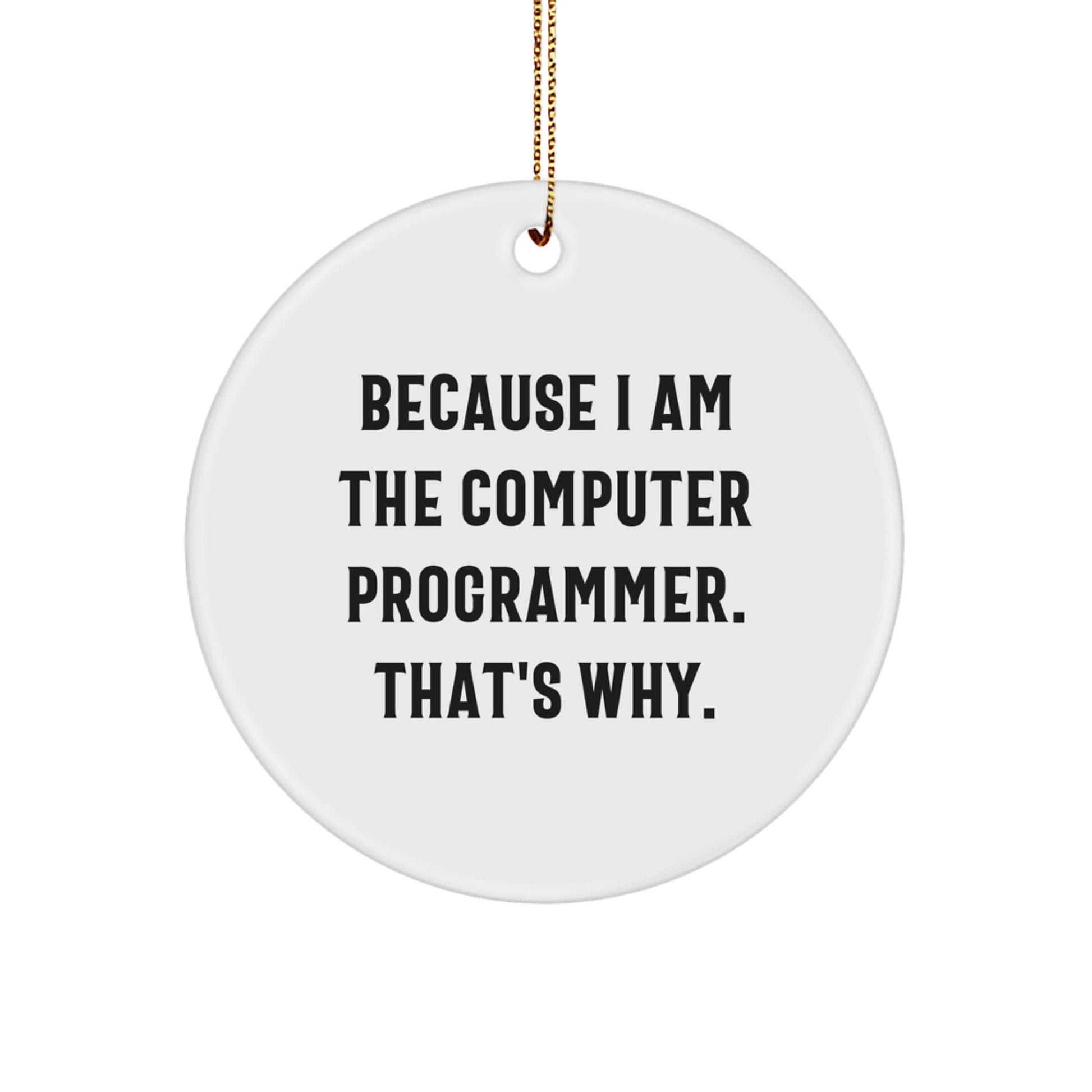 Computer Programmer Gifts from Friends Unique Circle Ornaments Because I Am The Computer Programmer That's Why Christmas - Image 1