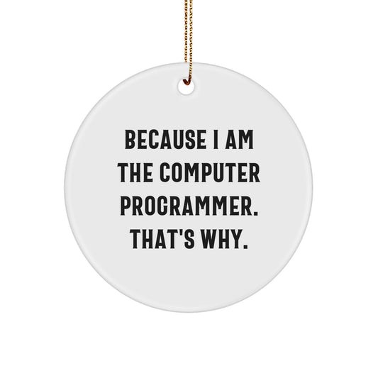 Computer Programmer Gifts from Friends Unique Circle Ornaments Because I Am The Computer Programmer That's Why Christmas - Image 1