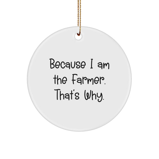 Funny Farmer Circle Ornament Gifts for Men from Family - Because I Am The Farmer. That's Why. Christmas - Image 1
