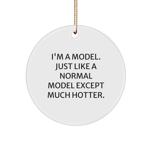 Funny Model Circle Ornament Gifts from Friends for Model Enthusiasts, Christmas Unique Gift for Women, Men, and Family - Image 1