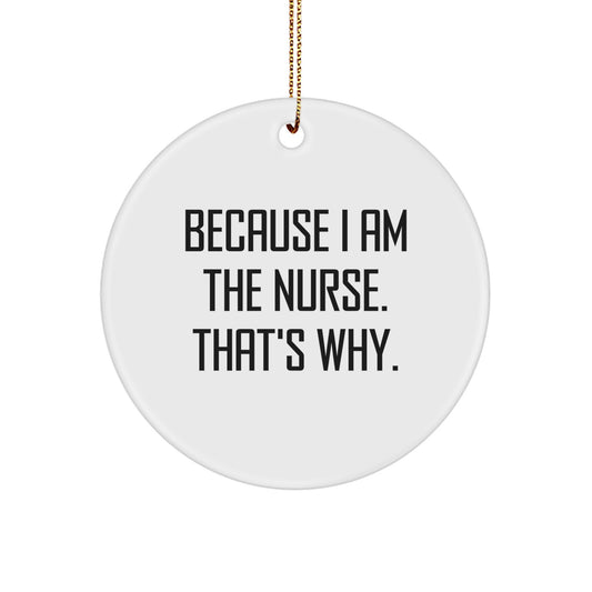 Funny Nurse Circle Ornament Gifts from Friends and Family for Christmas Unique Nurse Gifts - Image 1