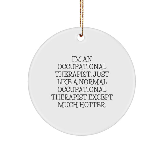 Funny Occupational Therapist Gifts from Friends, Occupational Therapist Circle Ornament, Christmas Ornament for Occupational Therapist - Image 1