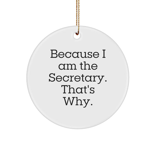 Funny Secretary Gifts for Women Circle Ornaments Because I Am The Secretary That's Why Christmas Unique Gifts from Friends - Image 1