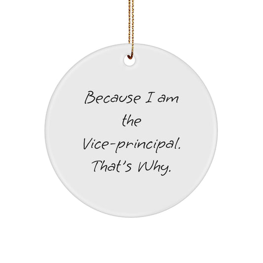 Funny Vice-Principal Gifts from Men for Vice-Principal, Unique Circle Ornament because I am the Vice-Principal, That's Why, Christmas Decorations - Image 1