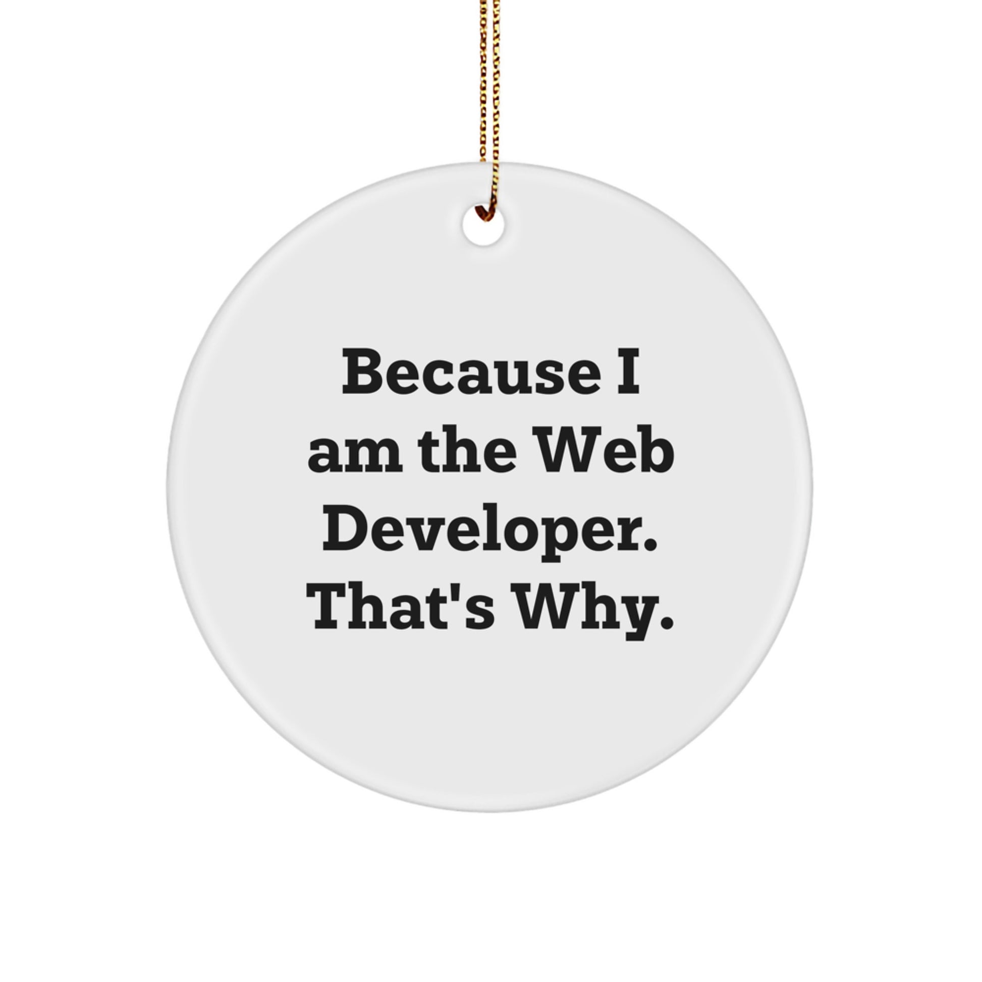 Funny Web Developer Christmas Circle Ornament Gift from Friends for Family - Image 1
