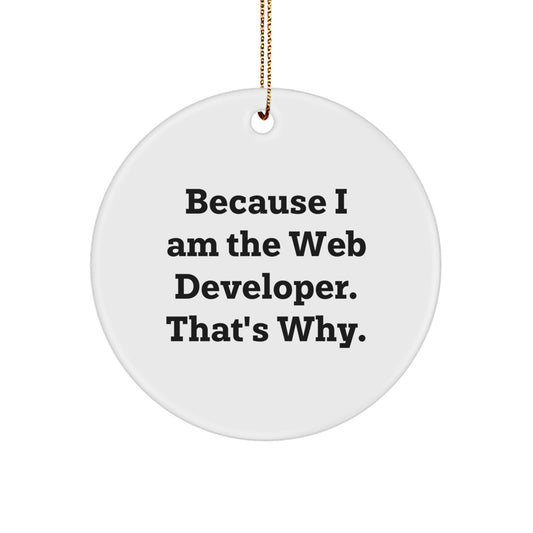Funny Web Developer Christmas Circle Ornament Gift from Friends for Family - Image 1