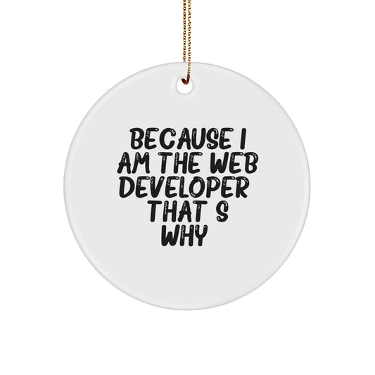 Funny Web Developer Gifts from Friends, Web Developer Circle Ornament for Men, Because I Am The Web Developer, That's Why. Christmas Unique Ornaments for Web Developers, Web Developer Decorations - Image 1
