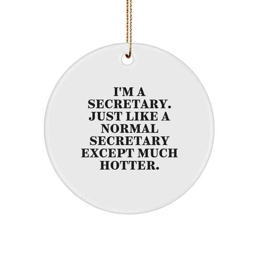 Funny Secretary Circle Ornament, Gifts from Friends to Secretary, Christmas Unique Gifts for Secretary, I'm A Secretary - Circle Ornament - Image 1