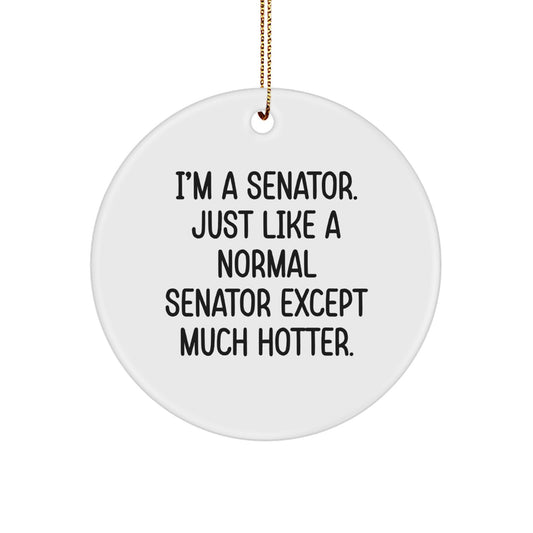 Senator Gifts for Friends, Funny Circle Ornament, Unique Christmas Unique Gifts from Friends - Image 1