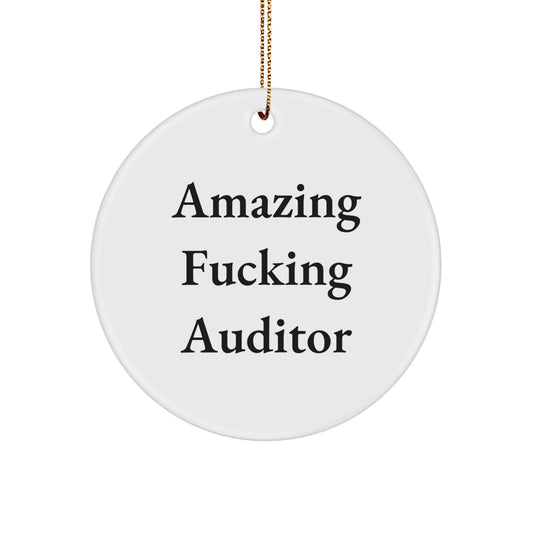 Funny Auditor Gifts from Friends for Men Christmas Unique Circle Ornaments with Amazing F--king Auditor Quote - Image 1