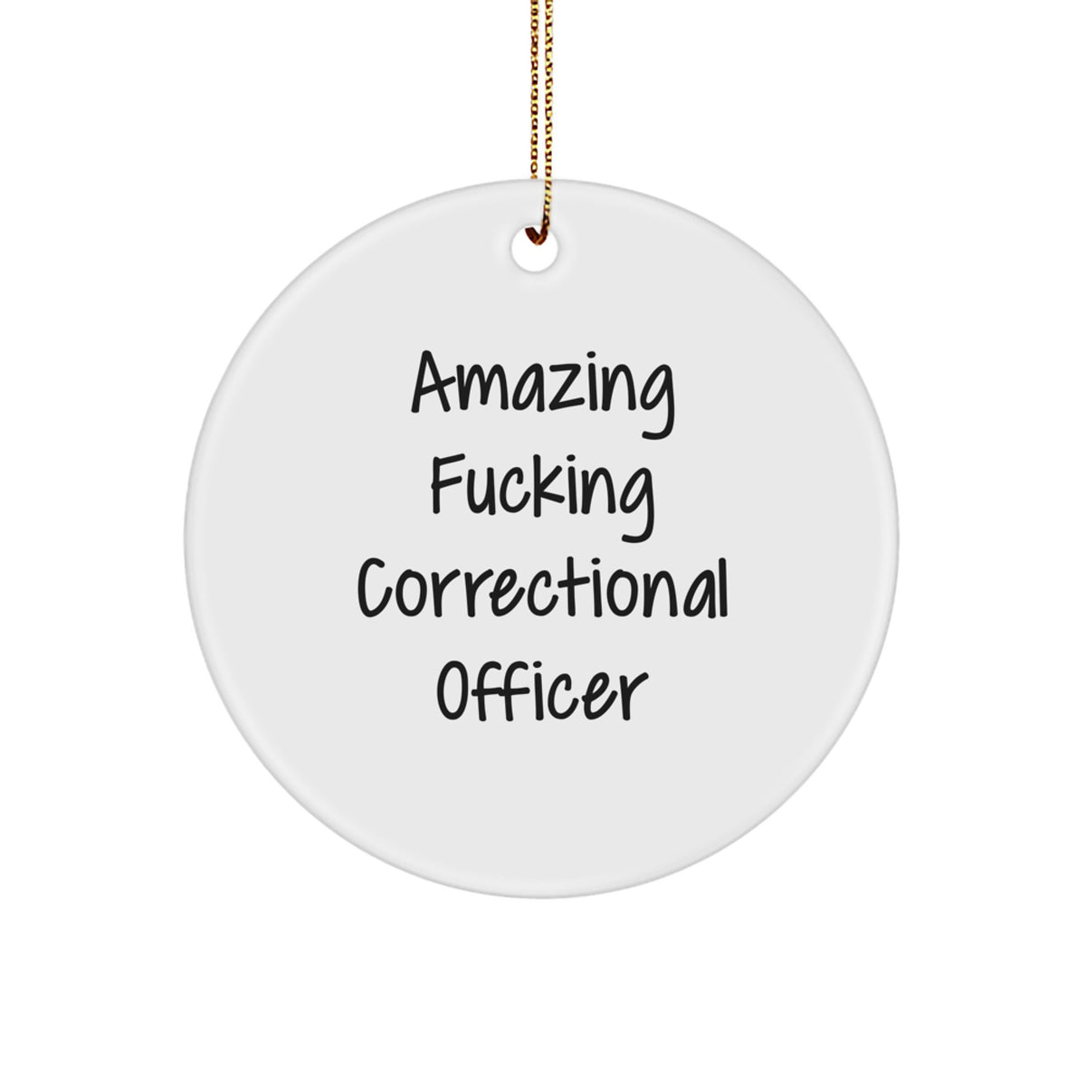 Funny Correctional Officer Christmas Unique Gifts from Men Friends for Correctional Officer Christmas Unique Ornaments - Image 1