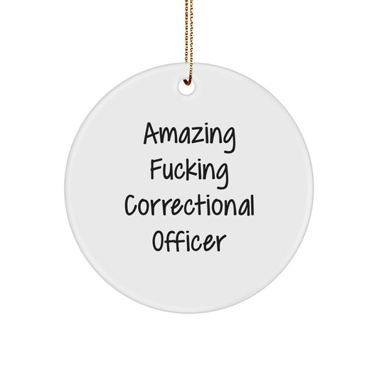 Funny Correctional Officer Christmas Unique Gifts from Men Friends for Correctional Officer Christmas Unique Ornaments - Image 1