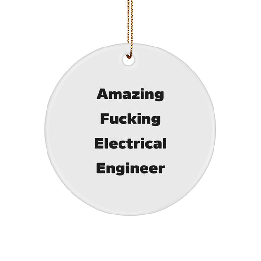 Funny Electrical Engineer Gifts for Men from Friends - Circle Ornament with Amazing F--king Electrical Engineer Quote - Image 1