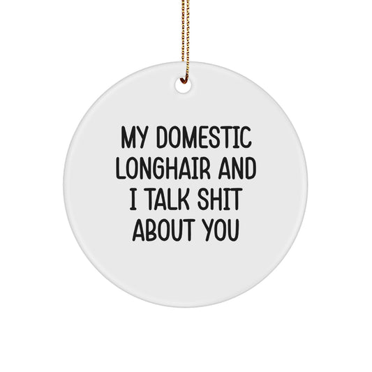 Funny Domestic Longhair Cat Gifts from Friends - My Domestic Longhair And I Talk Shit About You Circle Ornament for Christmas Decorations - Image 1