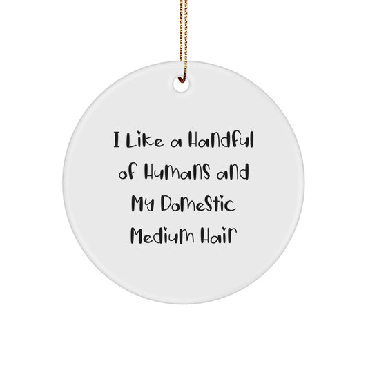 Funny Domestic Medium Hair Cat Gifts from Friends for Christmas Unique Circle Ornament, I Like A Handful Of Humans And My Domestic Medium Hair - Image 1