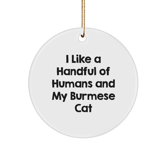 Burmese Cat Lover's Circle Ornament, I Like A Handful Of Humans And My Burmese Cat, Funny Cat Gifts for Friends and Family Christmas Unique Ornaments - Image 1