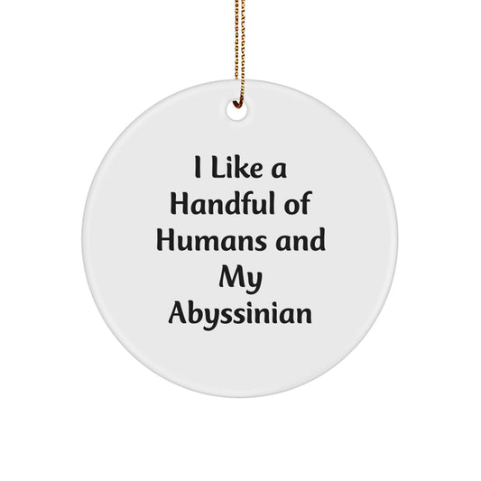 Abyssinian Cat Christmas Unique Gifts from Friends, Funny Circle Ornament for Abyssinian Cat Lovers, I Like A Handful Of Humans And My Abyssinian - Image 1