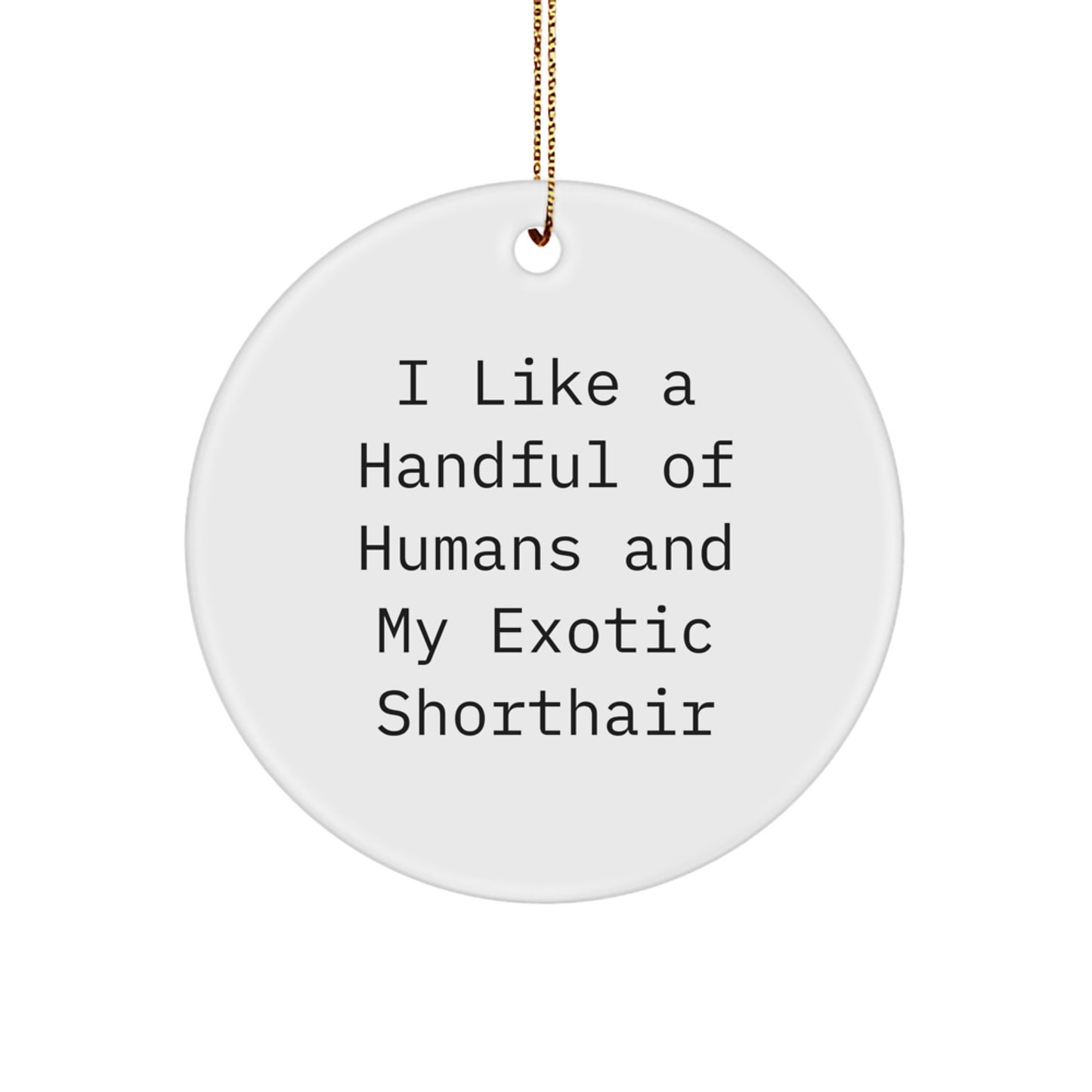Exotic Shorthair Cat Lover Gifts from Family for Christmas - Funny Circle Ornament - Image 1