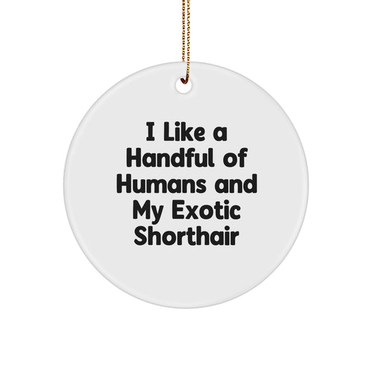 Funny Exotic Shorthair Cat Quotes Gifts for Exotic Shorthair Cat Lovers, Christmas Unique Gifts from Family to Friends, Circle Ornament - Image 1