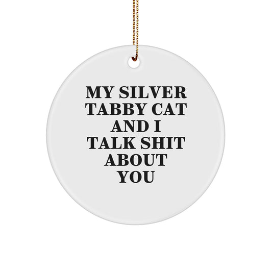 Funny Silver Tabby Cat Circle Ornament Gifts from Men to Women Friends Christmas Unique - Image 1