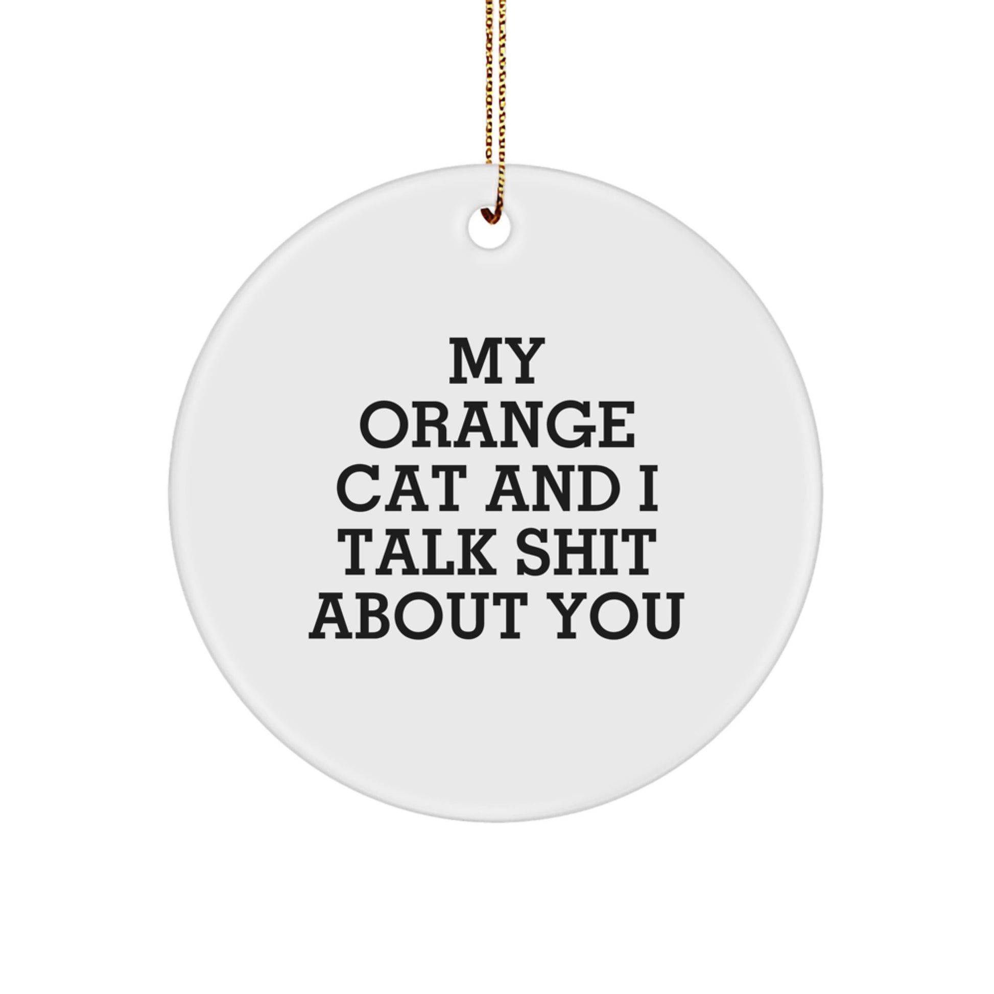 Funny Orange Cat Gifts from Friends for Orange Cat - Circle Ornament My Orange Cat And I Talk Shit About You Christmas Unique Gifts - Image 1