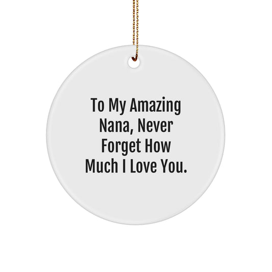 Nana Gifts for Christmas, To My Amazing Nana Circle Ornament, Thoughtful Nana Presents from Family - Image 1