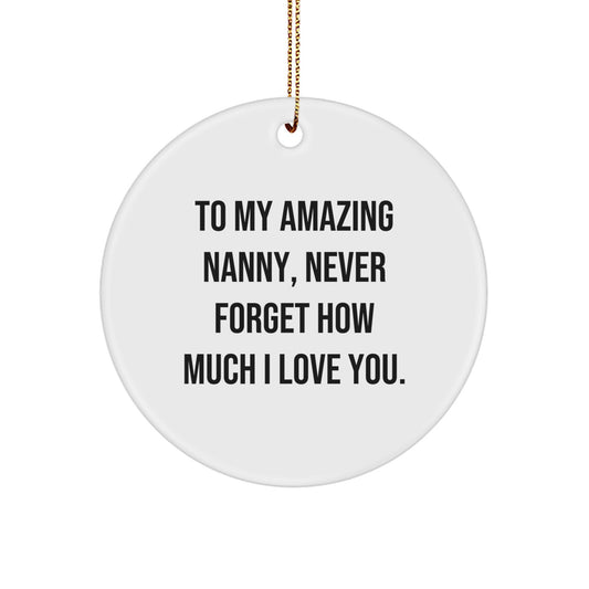 Funny Nanny Gifts from Family - To My Amazing Nanny Never Forget How Much I Love You Circle Ornament for Christmas Unique - Image 1