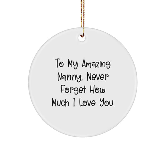 Nanny Appreciation Gifts from Family, Heartfelt Circle Ornament for Amazing Nanny, To My Amazing Nanny Never Forget How Much I Love You Christmas Unique Gifts - Image 1