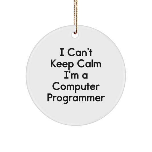 Funny Computer Programmer Gifts from Men to Friends - I'm A Computer Programmer Circle Ornament for Christmas Unique Presents - Image 1