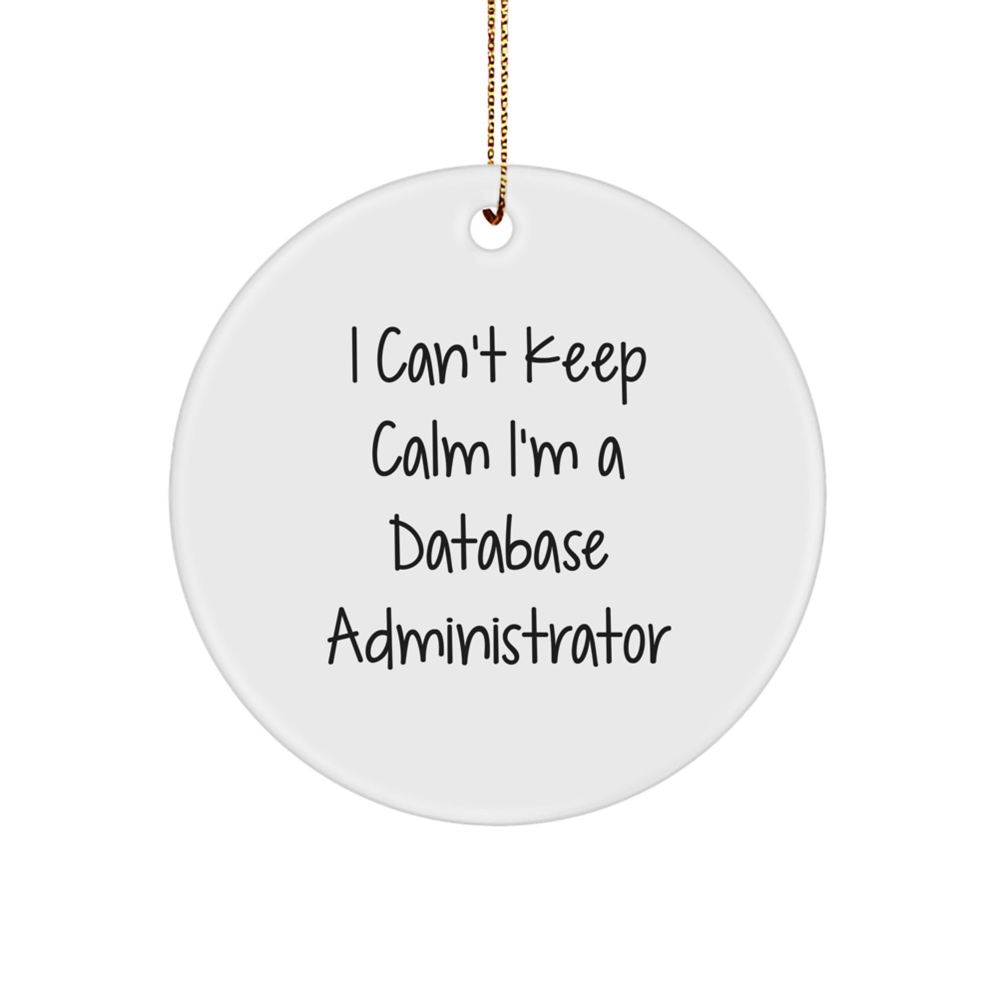 Funny Database Administrator Christmas Circle Ornament Gifts from Friends for Men, Unique DBA Decorations, I Can't Keep Calm I'm A Database Administrator - Image 1