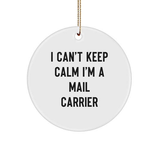 Funny Mail Carrier Circle Ornaments Gifts from Friends to Mail Carrier on Christmas Unique Gifts - Image 1