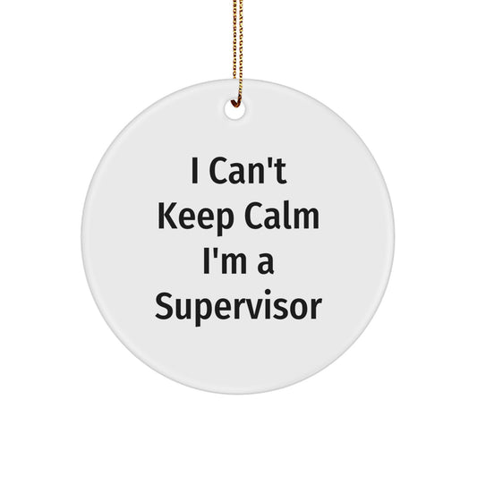 Funny Supervisor Gifts from Friends for Supervisor on Christmas Unique Gifts - Image 1