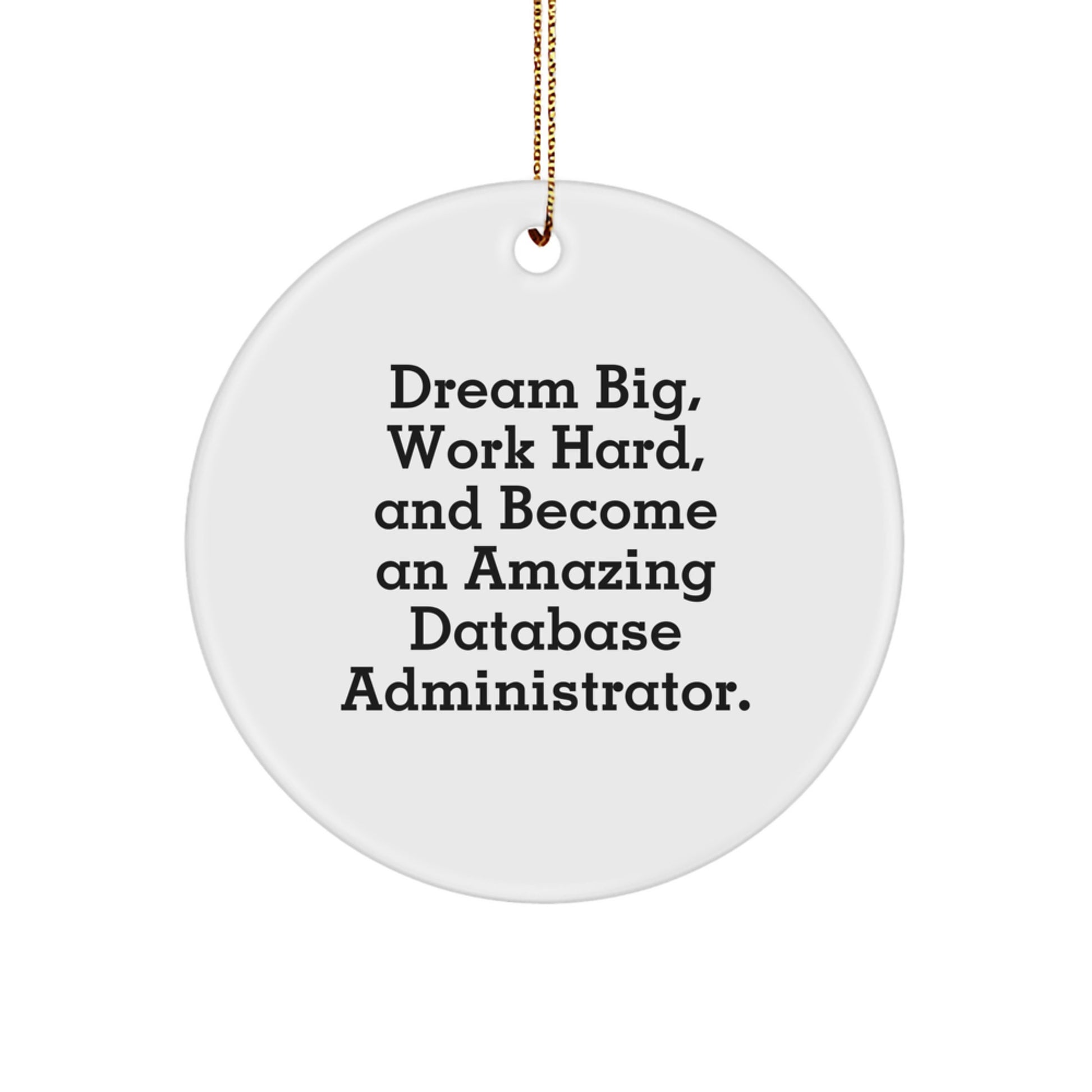 Funny Database Administrator Gifts from Men for Christmas Unique Circle Ornament Dreams Big - Inspirational Quote Decor - Image 1