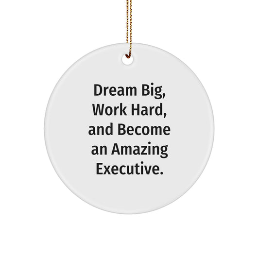 Inspirational Gifts from Friends for Executive Christmas Unique Ornaments Circle Shaped with Funny Quote Dream Big - Image 1