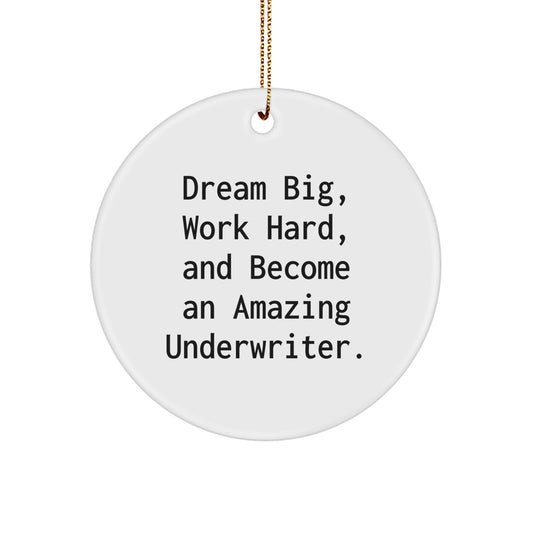 Underwriter Gifts from Men, Women, Friends, or Coworkers for Amazing Underwriters - Funny Christmas Circle Ornament - Dream Big, Work Hard, And Become An Amazing Underwriter. - Image 1