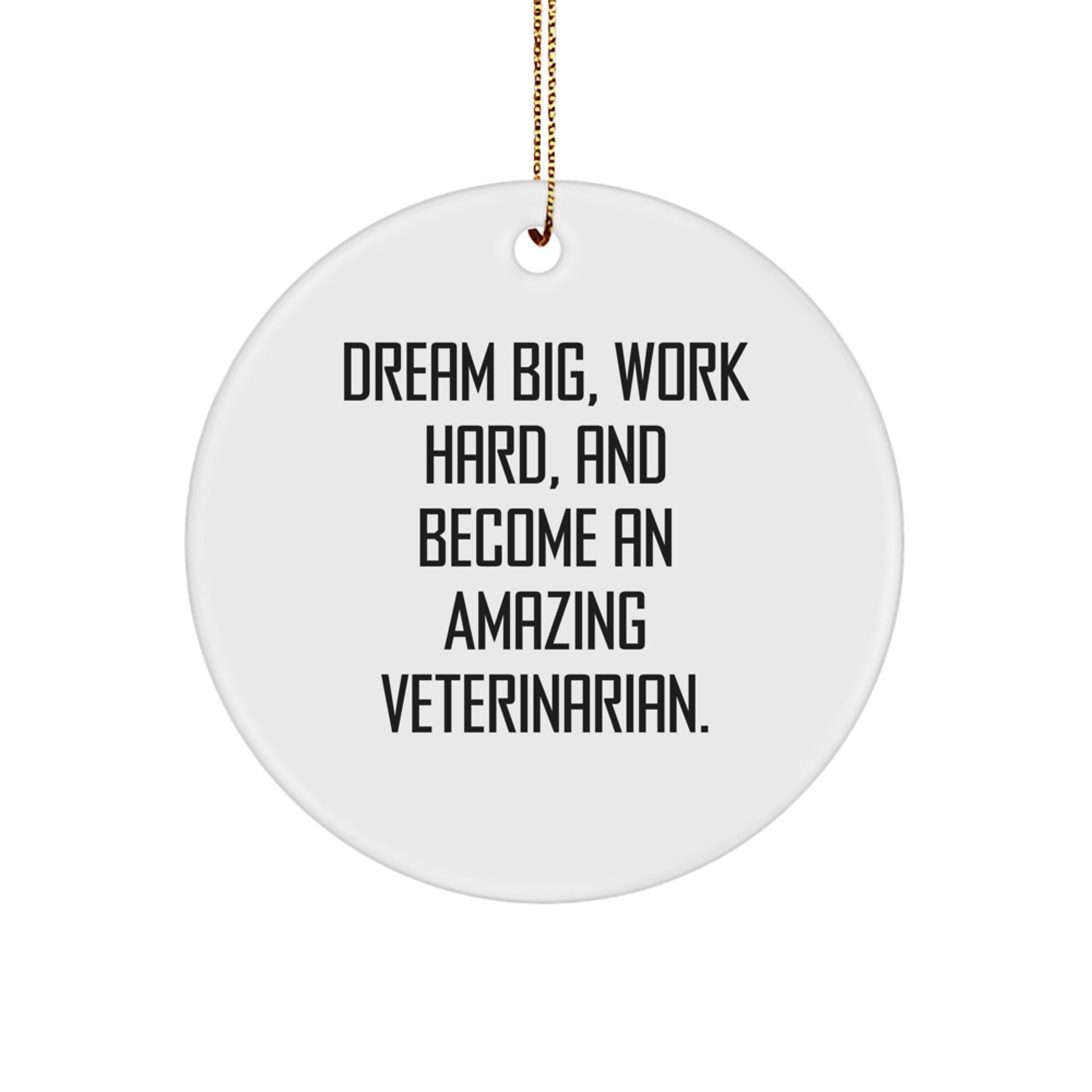 Funny Veterinarian Gifts from Friends for Christmas, Circle Ornament with Inspirational Quote - 'Dream Big, Work Hard, And Become An Amazing Veterinarian. - Image 1