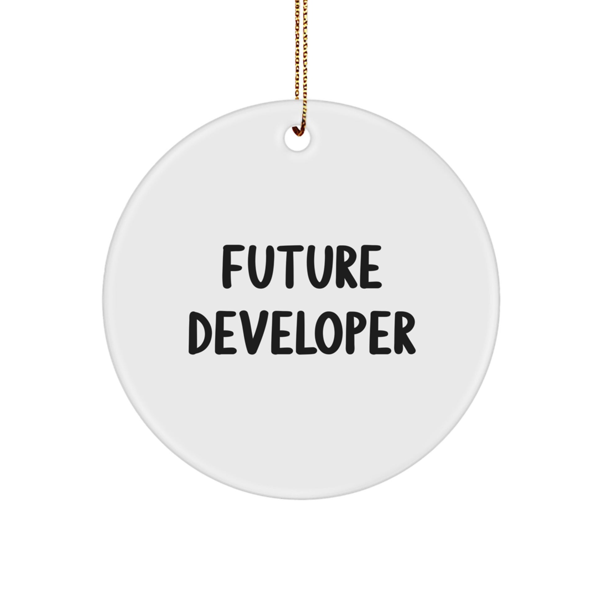 Funny Quote Gifts from Friends for Future Developers - Circle Ornament Christmas Unique - Image 1