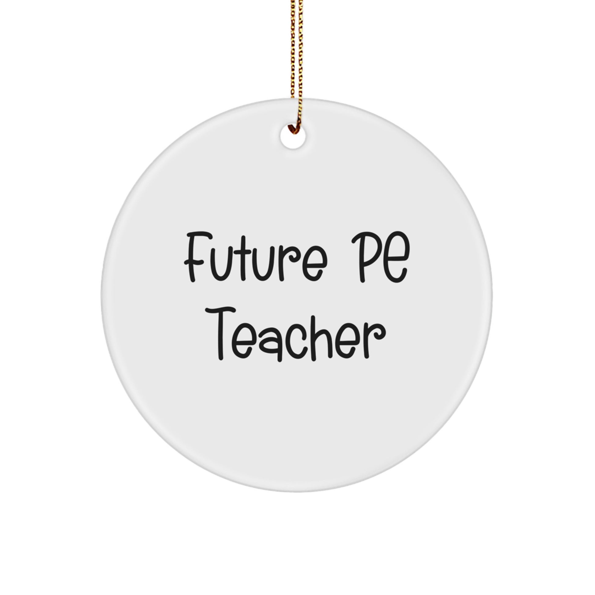 Funny Future PE Teacher Gifts from Friends for Christmas Unique Ornaments - Image 1