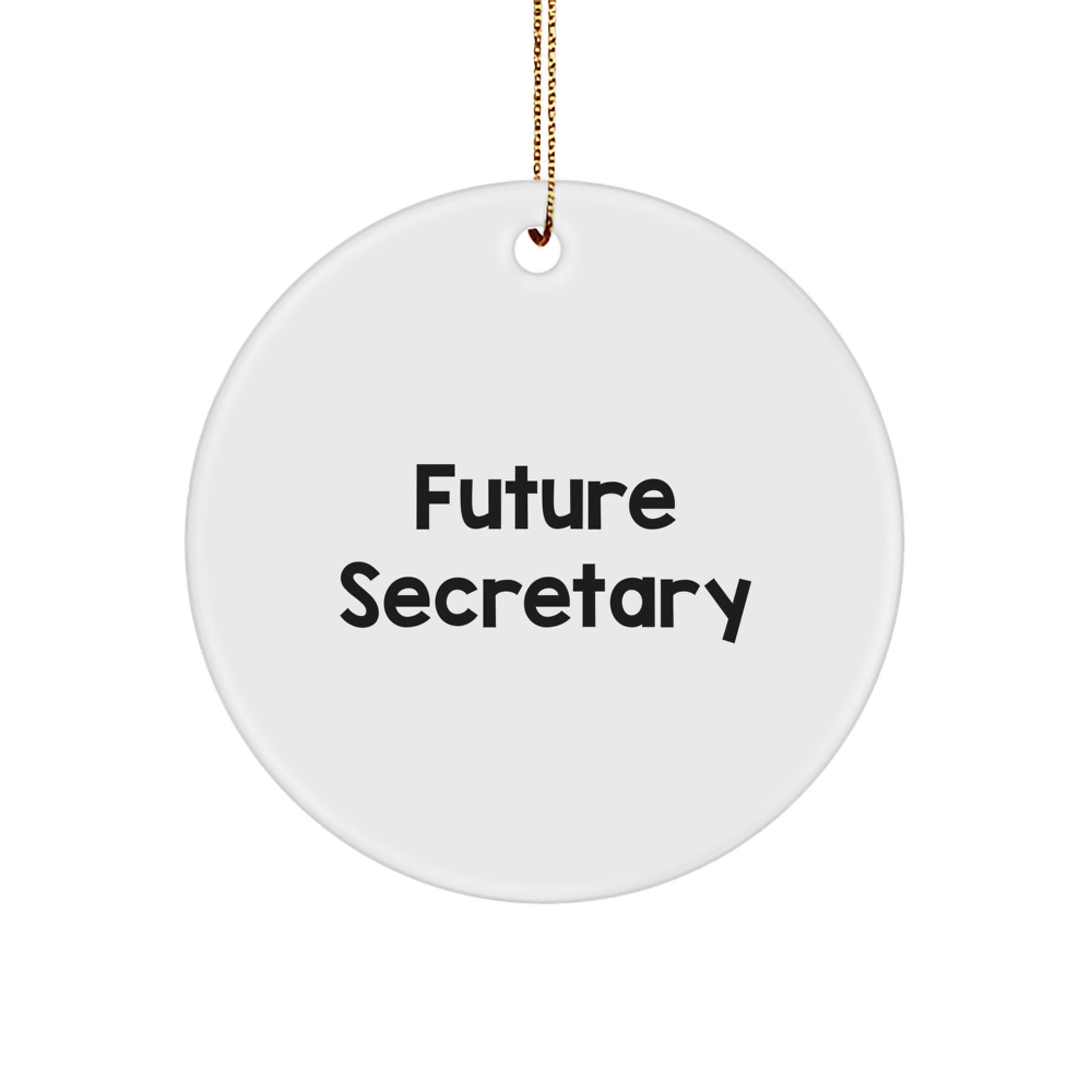 Funny Future Secretary Circle Ornament Gifts from Family for Women Christmas Unique Office Decor - Image 1