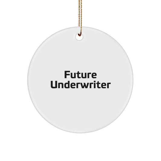 Funny Future Underwriter Circle Ornament Gifts from Friends for Christmas, Inspirational Quote, Underwriter Unique Gift, Durable MDF Material, 2.75 Tall, White Color, Easy Hanging Gold Cord - Image 1