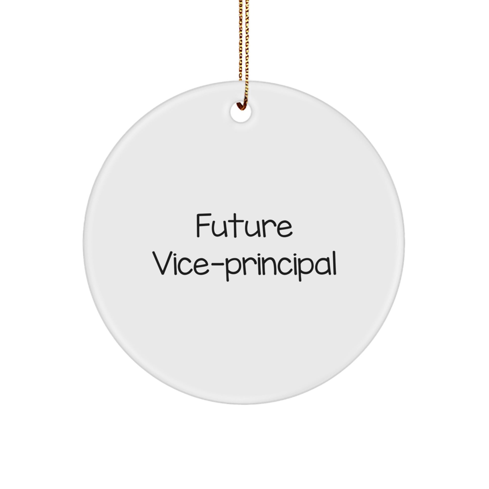 Funny Vice-Principal Gifts for Christmas - Circle Ornament with Quote 'Future Vice-Principal' from Friends, Coworkers, or Family - Image 1
