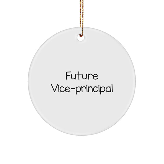 Funny Vice-Principal Gifts for Christmas - Circle Ornament with Quote 'Future Vice-Principal' from Friends, Coworkers, or Family - Image 1