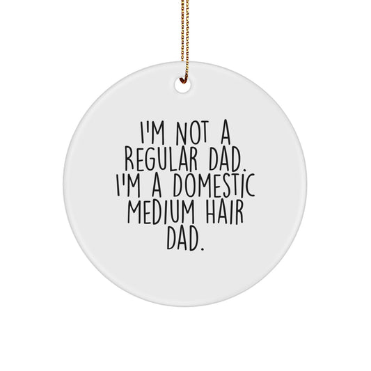 Funny Domestic Medium Hair Cat Gifts for Men from Dad - Christmas Unique Circle Ornament - I'm Not A Regular Dad I'm A Domestic Medium Hair Dad - Image 1