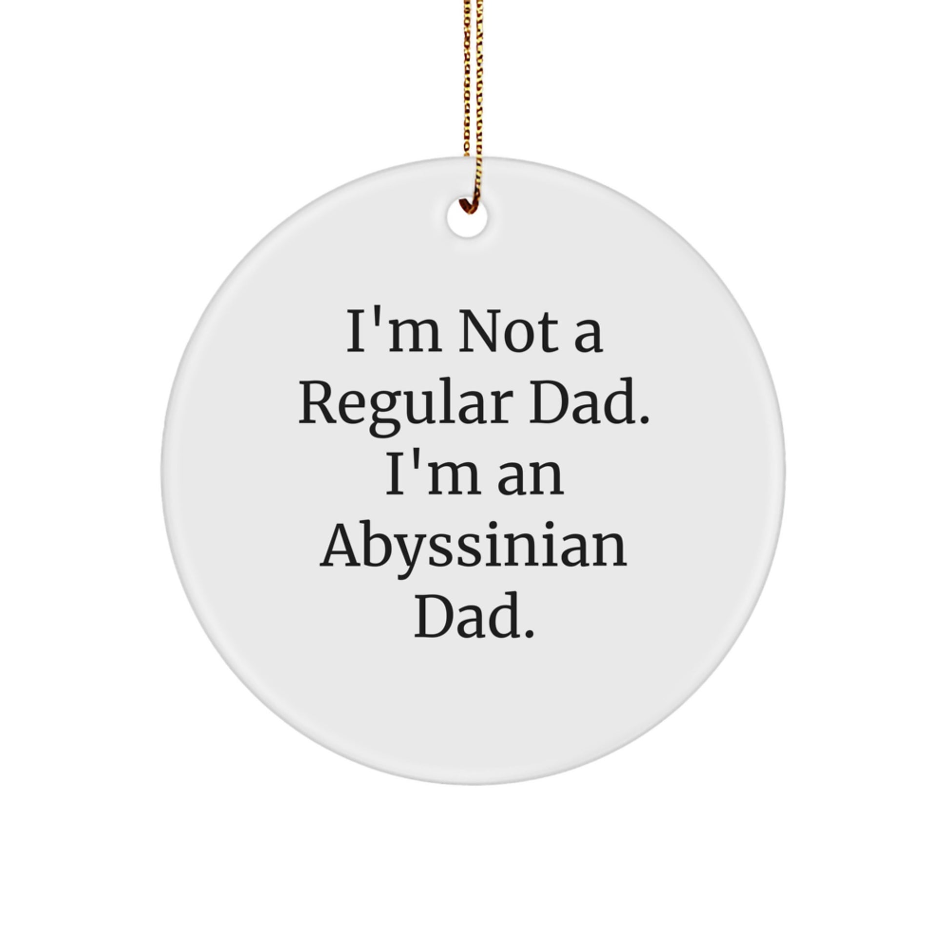 Abyssinian Cat Dad Gifts for Men, Funny Circle Ornament, Gifts from Men to Friends, Family, and Coworkers, Christmas Unique Presents - Image 1