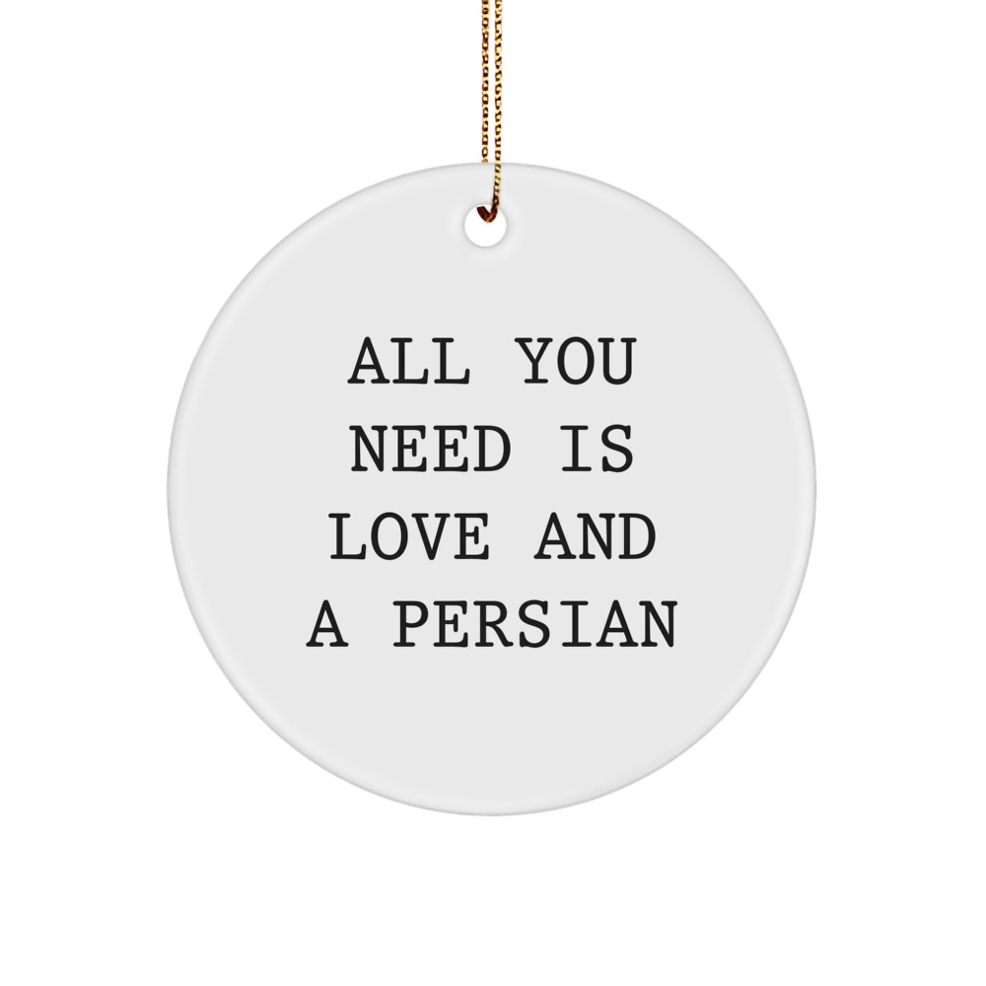 Funny Persian Cat Circle Ornament Gifts from Friends to Family for Christmas Unique Decorations, All You Need Is Love And A Persian - Image 1