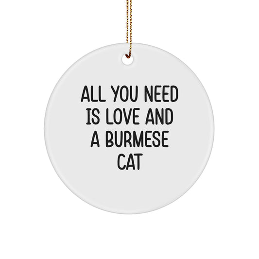 Funny Burmese Cat Gifts from Friends - 'All You Need Is Love And A Burmese Cat' Christmas Unique Ornaments for Family - Image 1