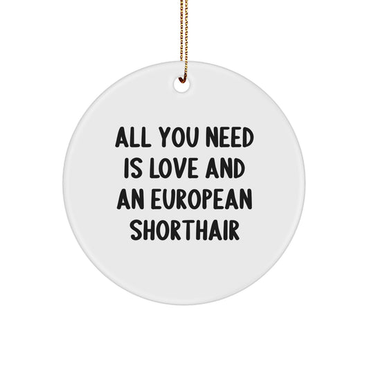 European Shorthair Cat Lovers Gifts for Men, Women, Friends, Family - Circle Ornament with 'All You Need Is Love And An European Shorthair' Quote, Christmas Unique Gifts from Friends - Image 1