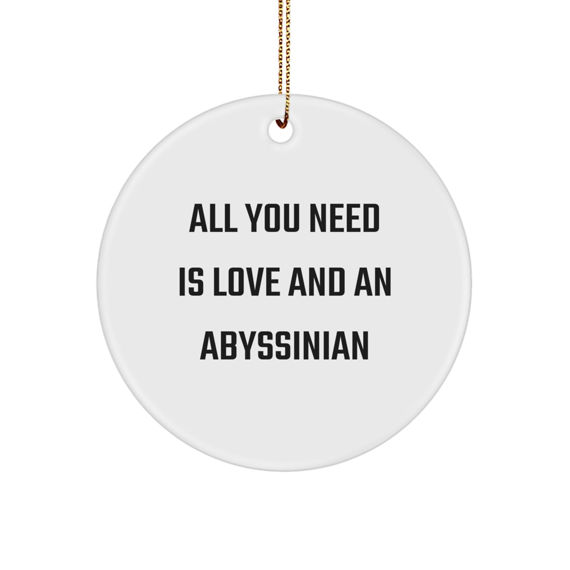 Abyssinian Cat Lover Gifts, Funny Circle Ornament for Women, Men, Family, Friends, 'All You Need Is Love And An Abyssinian' Quote, Christmas Unique Gifts from Wife to Husband - Image 1