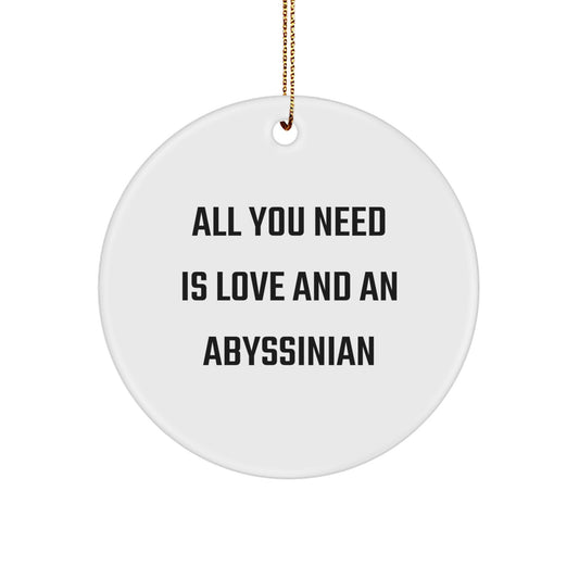 Abyssinian Cat Lover Gifts, Funny Circle Ornament for Women, Men, Family, Friends, 'All You Need Is Love And An Abyssinian' Quote, Christmas Unique Gifts from Wife to Husband - Image 1